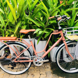 Xe đạp nữ – Mini – Mã 2119