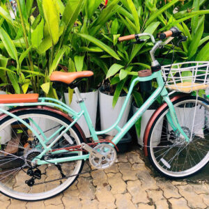 Xe đạp nữ – Mini – Mã 2119