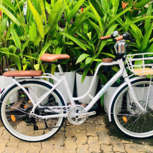 Xe đạp nữ – Mini – Mã 2119A