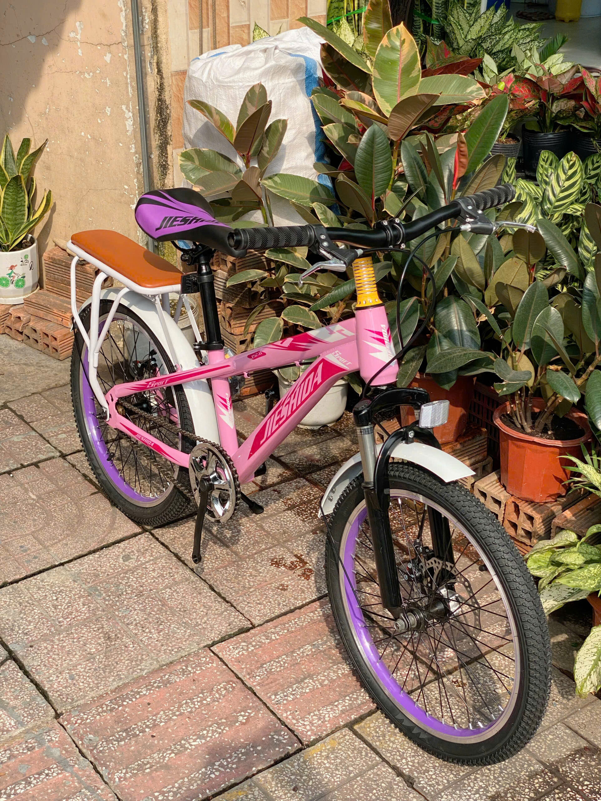 z7186589415401_40d78e1b93af5e90f6aac18515db8618